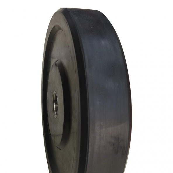 DragonDo Siyah Olimpik Plaka 25 kg - 2