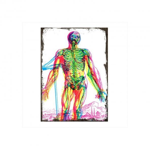 Insan Anatomisi Ahşap Poster 10*20 Cm