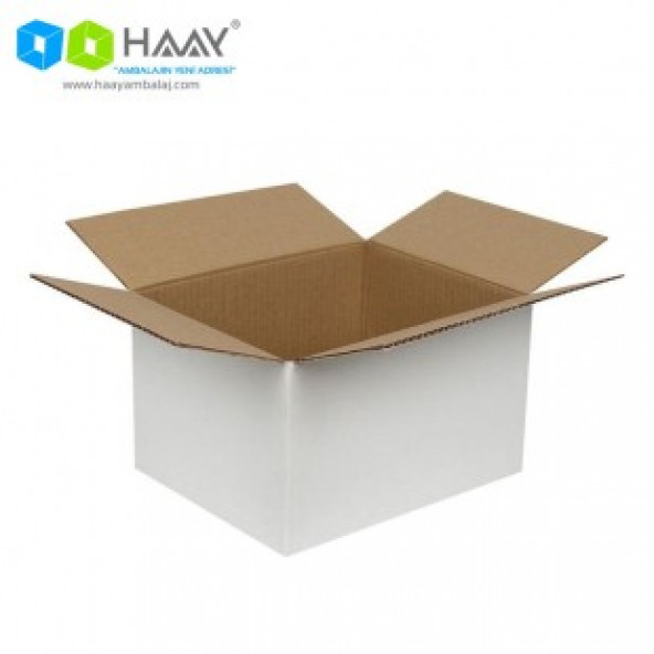 HAAY AMBALAJ 25x20x15cm Tek Oluklu Beyaz Koli ( 10 ADET) - Resim 2