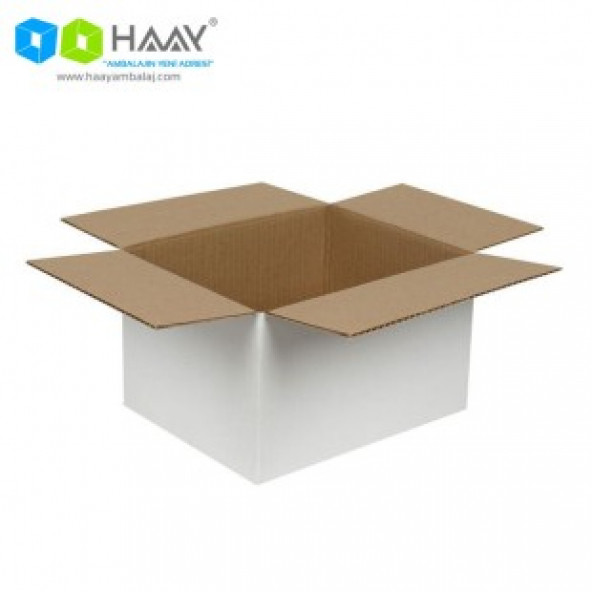 HAAY AMBALAJ 25x20x15cm Tek Oluklu Beyaz Koli ( 10 ADET) - Resim 3