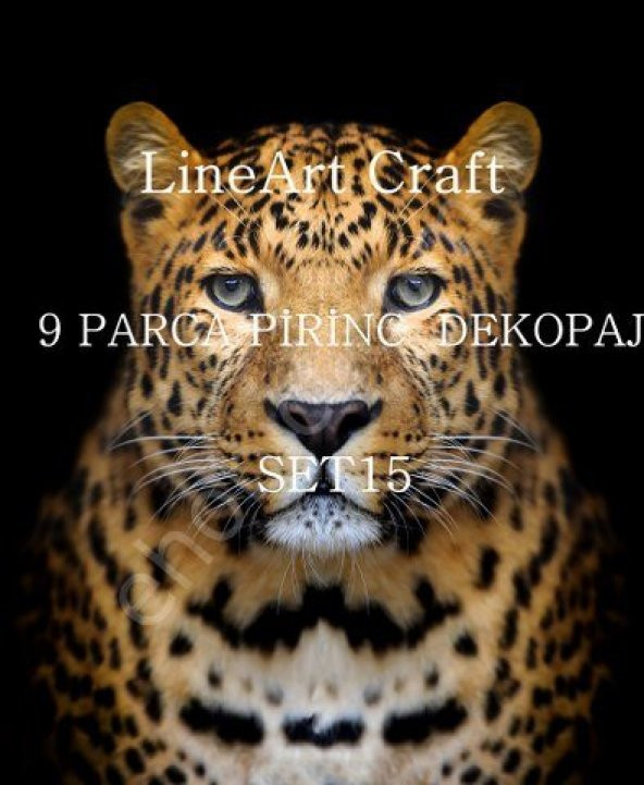 Lineart Pirinç Dekopaj Kağıdı 9 Parça Set-015 ürün görseli