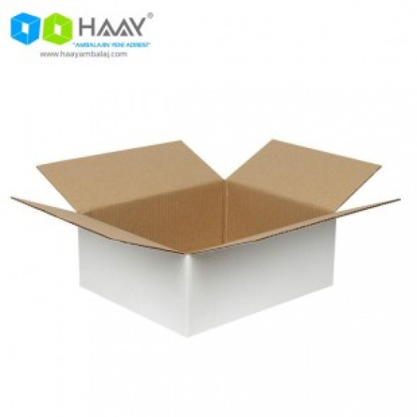 HAAY AMBALAJ 30x25x12cm Tek Oluklu Koli - Beyaz ( 10 ADET) - 2