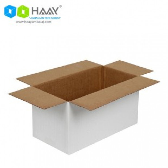 HAAY AMBALAJ 29x15x15cm Tek Oluklu Koli - Beyaz ( 10 ADET) - 2