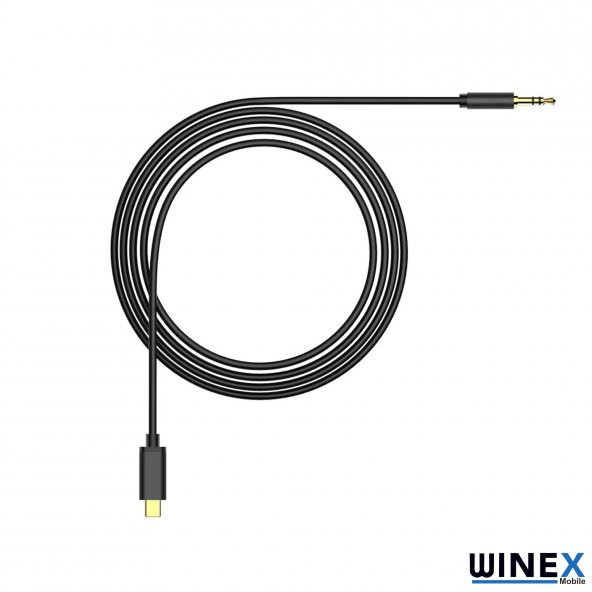 Winex JH30 Type-C to 3.5mm Aux Ses Kablosu Siyah - 3