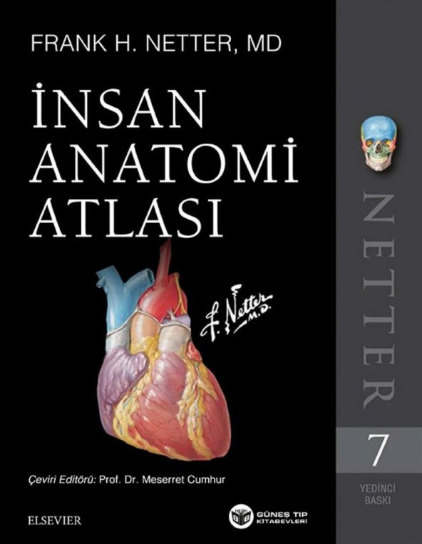 Netter İnsan Anatomisi Atlası