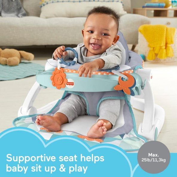 Fisher-Price Tepsili Ana Kucağı - Penguen Adası HBF27,Mama Tepsisi Hayvan Temalı Taşınabilir Ana Kucağı - 3