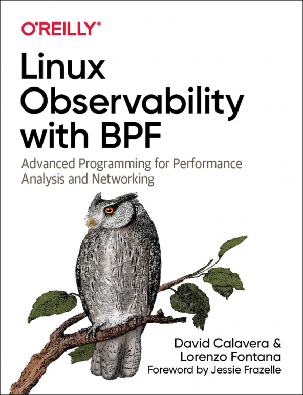 Linux Observability with BPF Advanced Programming for Performance Analysis and Networking David Calavera and Lorenzo Fontana 2020