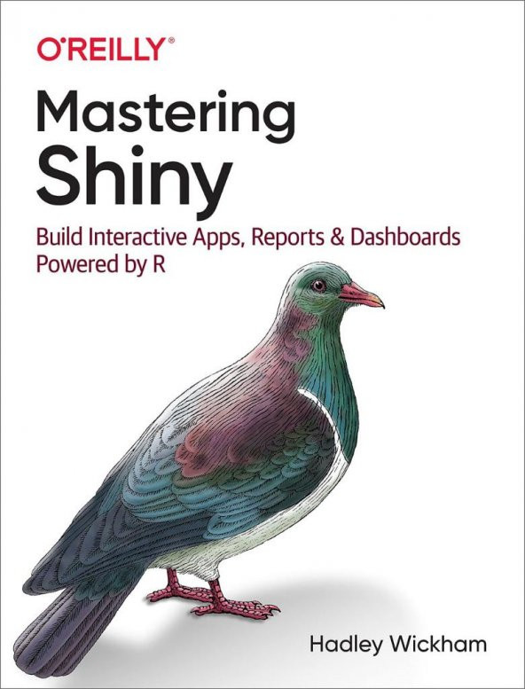 Mastering Shiny: Build Interactive Apps, Reports, and Dashboards Powered by R 1st Edition