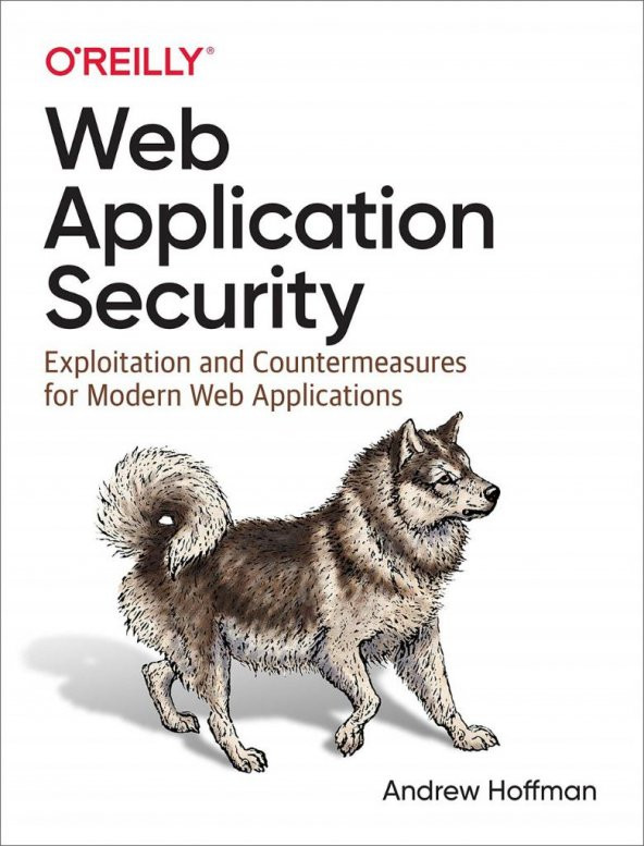 Web Application Security: Exploitation and Countermeasures for Modern Web Applications 1st Edition