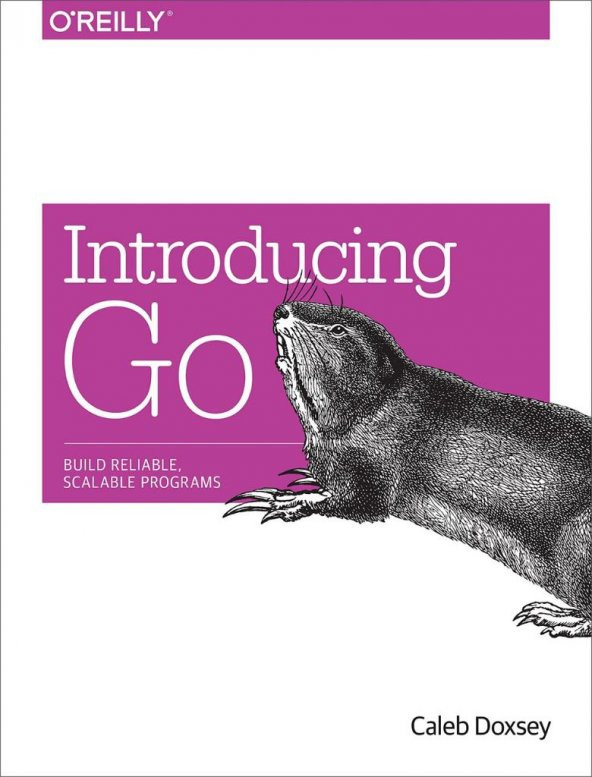 Introducing Go: Build Reliable, Scalable Programs 1st Edition