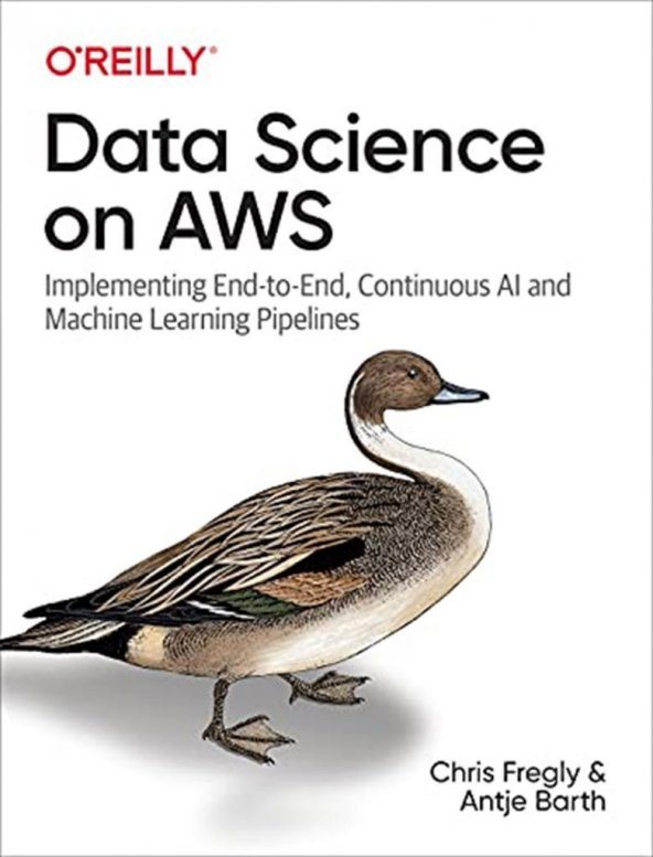 Data Science on AWS: Implementing End-to-End, Continuous AI and Machine Learning Pipelines 1st Edition