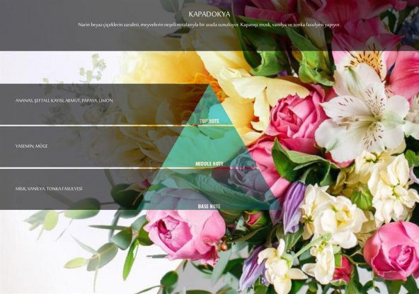 Rulopak Kapadokya Koku Kartuşu 200 ml (M7)