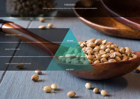 Rulopak Paradiso Koku Kartuşu 100 ml (M5-M6) - Resim 4