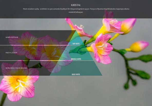 Rulopak Kristal Koku Kartuşu 100 ml (M5-M6)