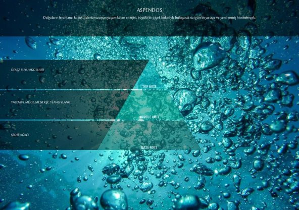 Rulopak Aspendos Koku Kartuşu 100 ml (M5-M6) - Resim 4