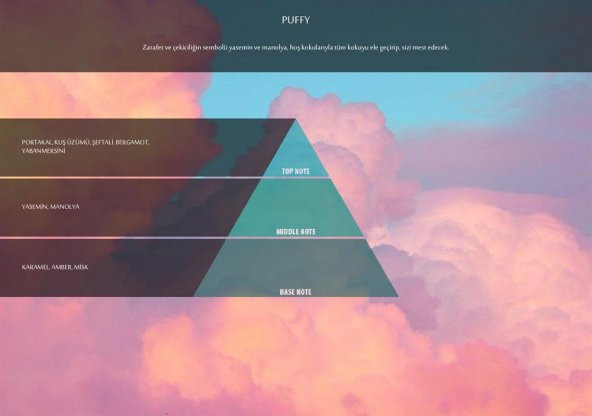 Rulopak Puffy Koku Kartuşu 100 ml (M5-M6) ürün görseli 1