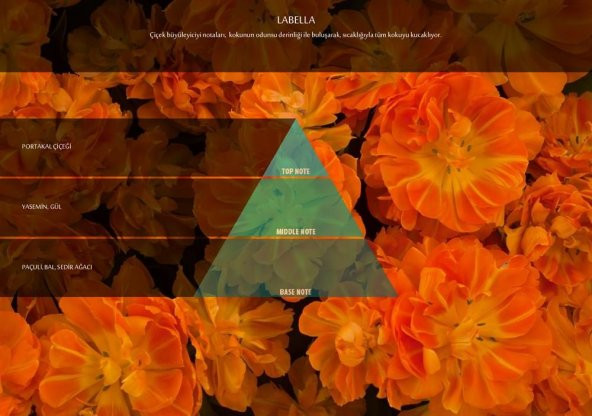 Rulopak Labella Koku Kartuşu 100 ml (M5-M6) - Resim 4