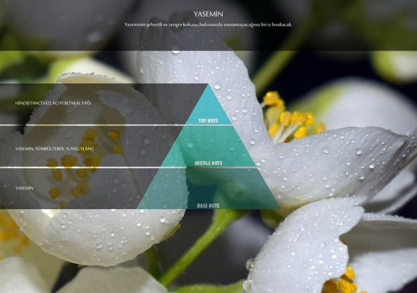 Rulopak Yasemin Koku Kartuşu 100 ml (M5-M6) - 4