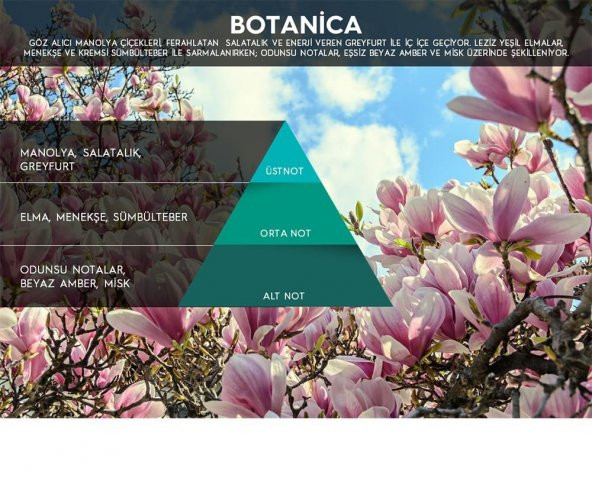 Rulopak Botanica Koku Kartuşu 100 ml (M5-M6) - 4