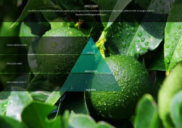 Rulopak Arizona Koku Kartuşu 100 ml (M7)