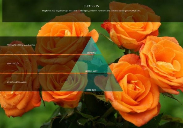 Rulopak Shotgun Koku Kartuşu 100 ml (M5-M6) - Resim 4