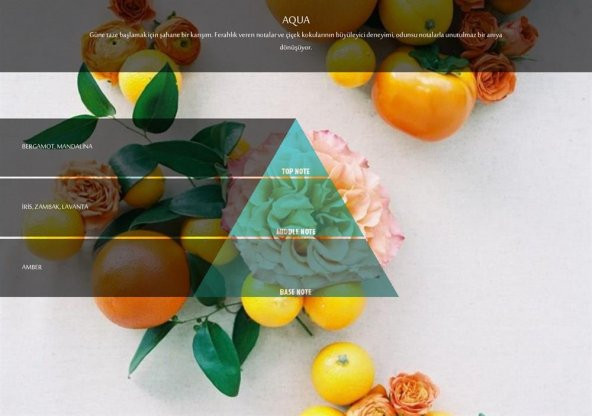 Rulopak Aqua Koku Kartuşu 100 ml (M7) - Resim 4