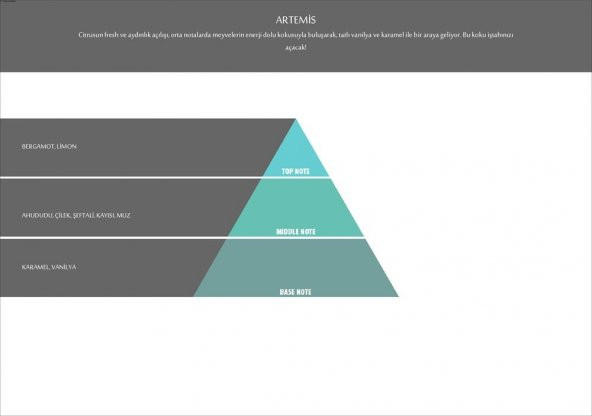 Rulopak Artemis Koku Kartuşu 200 ml (M7) - Resim 4