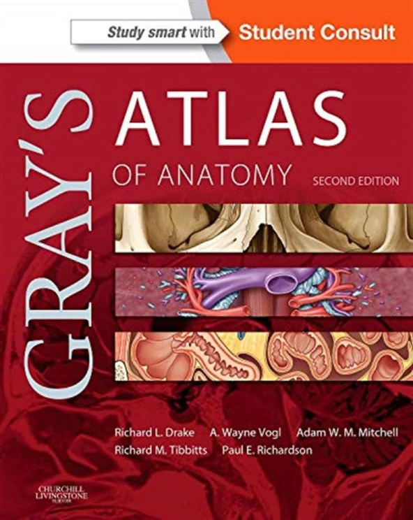 Gray's Atlas of Anatomy (Gray's Anatomy) 2nd Edition  Richard Drake PhD