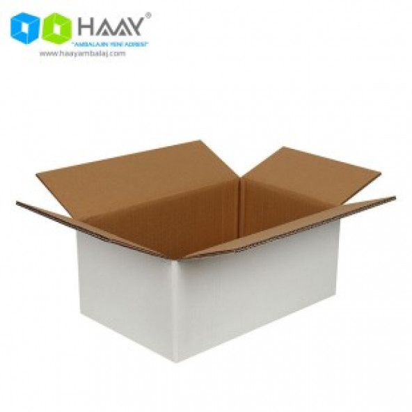 Haay Ambalaj 35x22x15cm Çift Oluklu (10 Adet) - Resim 2