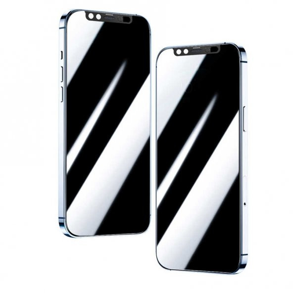 Apple iPhone 12 Pro Max Lopard Secret Temperli Cam Ekran Koruyucu