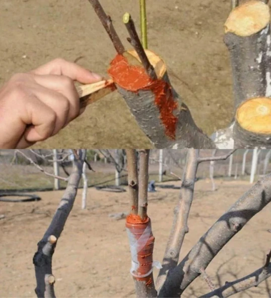 Pro-Max Aşı ve Budama Macunu 500 G - Resim 2