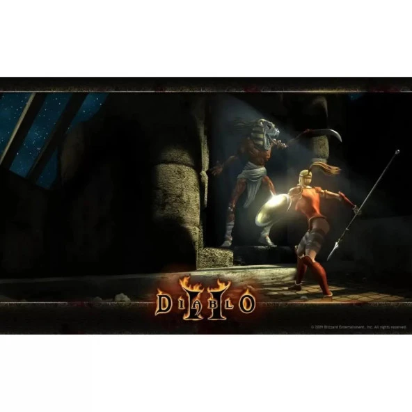 Diablo 2 Oyun  Ahşap Poster 10*20 Cm