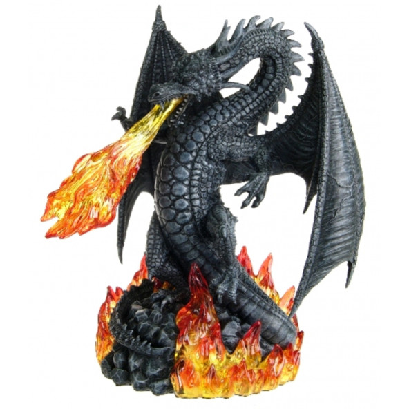 Wise Karışık-WISE EJDERHA-17x17x22 CM-JWU70142BC ürün görseli