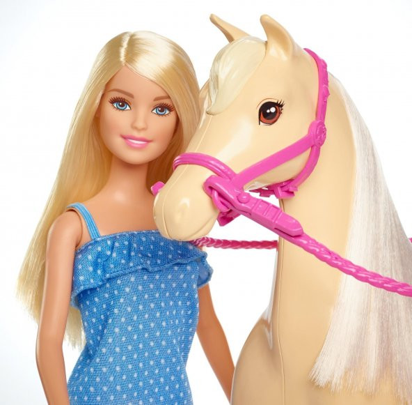 Barbie ve Güzel Atı Oyun Seti FXH13 - 2