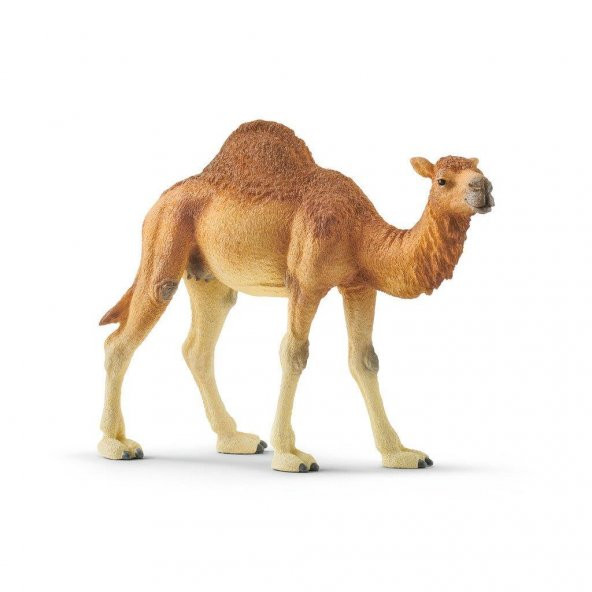 Schleich Hörgüçlü Deve 14832 - 1