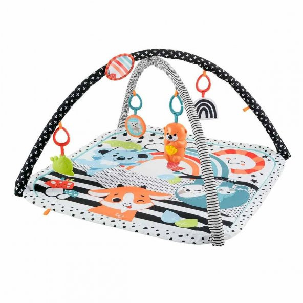 Fisher Price Neşeli Hayvanlar 3ü 1 Arada Jimnastik Merkezi HBP41 - 1