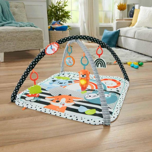 Fisher Price Neşeli Hayvanlar 3ü 1 Arada Jimnastik Merkezi HBP41 - 3