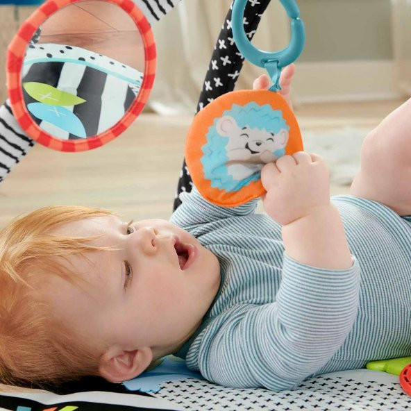 Fisher Price Neşeli Hayvanlar 3ü 1 Arada Jimnastik Merkezi HBP41 - 4