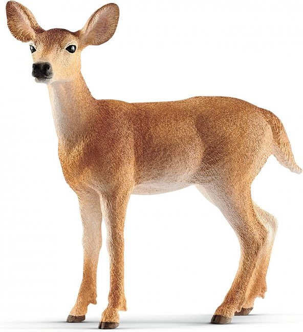 Schleich Beyaz Kuyruklu Karaca 14819