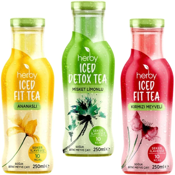 ICED FIT TEA DENEME SETİ 250 ML*3(ANANAS-KIRMIZI MEYVELİ-MİSKET LİMONLU)