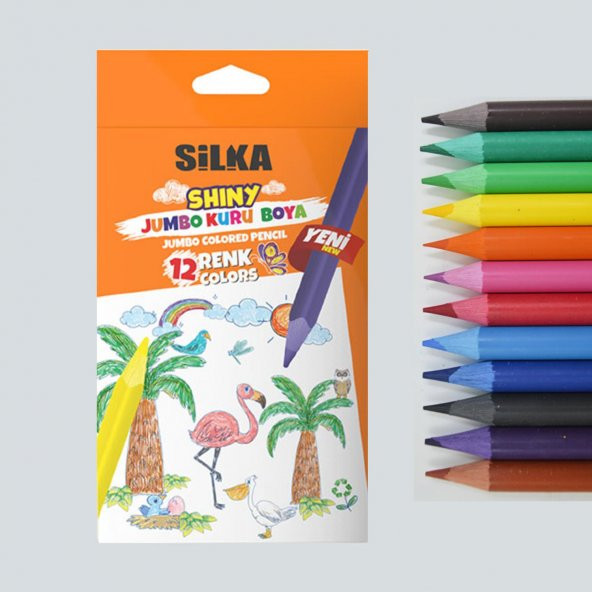 Silka Jumbo Üçgen Kuru Boya 12 Renk - 2