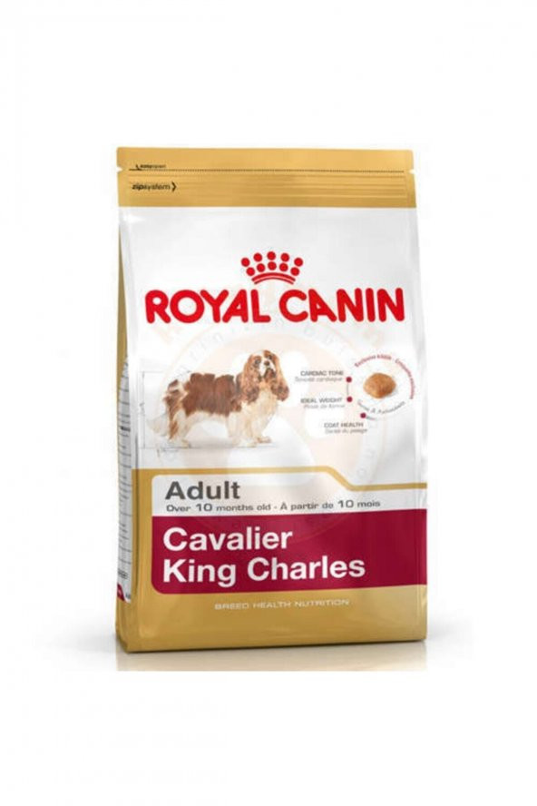 Cavalier Charles Yetişkin Köpek Maması - 1,5 kg