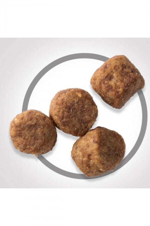 Mature Adult +7 Kuzu Et ve Pirinçli Yaşlı Köpek Maması 14 kg - Resim 4