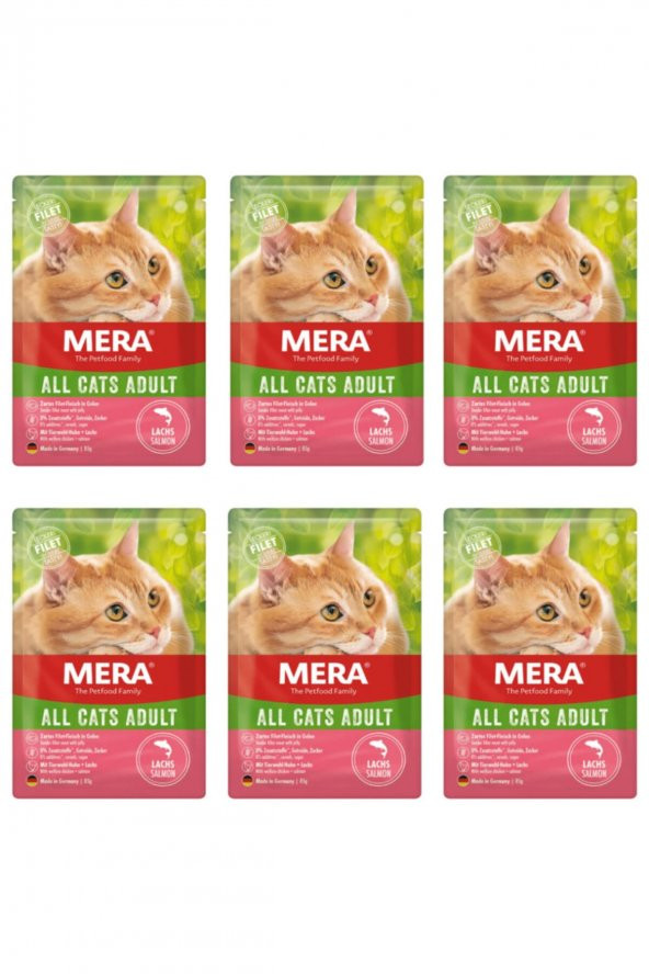 Tahılsız Somon Balıklı Yaş Kedi Maması 85 Gr X 6 Adet / Pouch Konserve - 1
