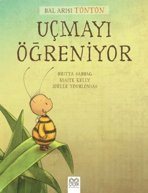 Bal Arısı Tonton - Uçmayı Öğreniyor