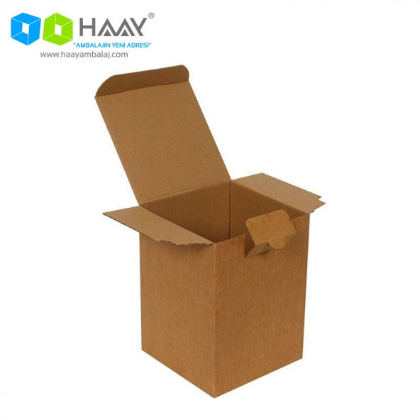 HAAY AMBALAJ 12x12x16cm Kraft E-ticaret Kargo Kutusu (25 Adet)