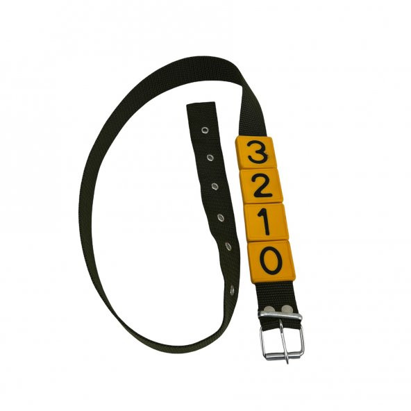 Büyükbaş Hayvan Numaratör Kayışı İnek Tasma (Tokalı) - Resim 5