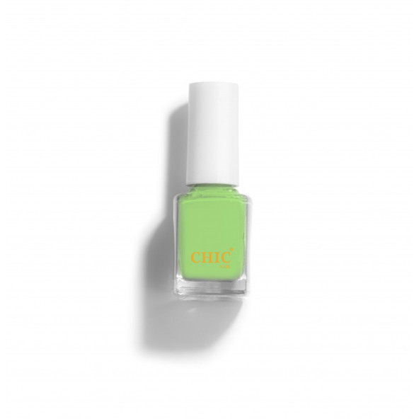 Chic Nail Açık Yeşil Oje Moss 113
