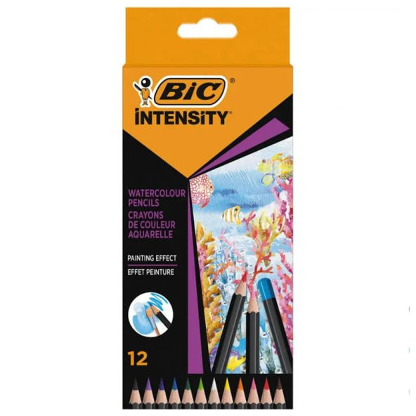 Bic Intensity Aquacouleur Kuru Sulu Boya Kalemi 12 Renk