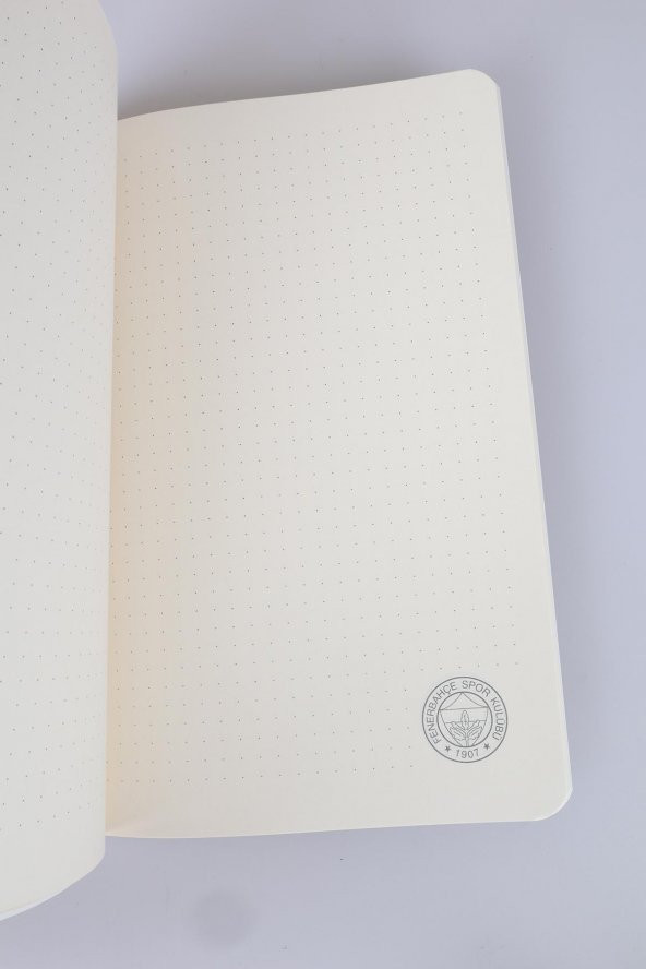 LİSANSLI FENERBAHÇE NOKTALI DEFTER - 4